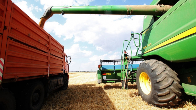 Хлебушек врозь: российская пшеница станет дефицитом
