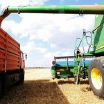 Хлебушек врозь: российская пшеница станет дефицитом
