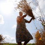 Пшеница для своих: Россия остановила экспорт зерна
