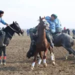 Кокпар и кок-бору: в чем разница национальных игр Казахстана и Кыргызстана