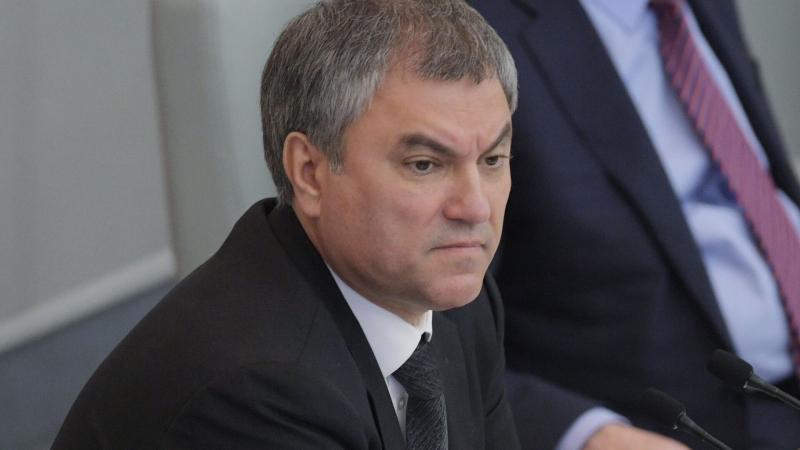 Володин направил в бундестаг материалы о терактах киевского режима