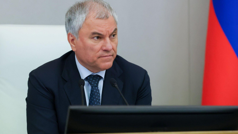Володин призвал бундестаг не забывать о погибших за освобождение от нацизма
